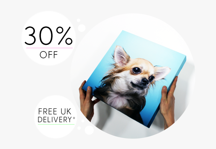 Transparent 30% Off Png, Png Download, Free Download