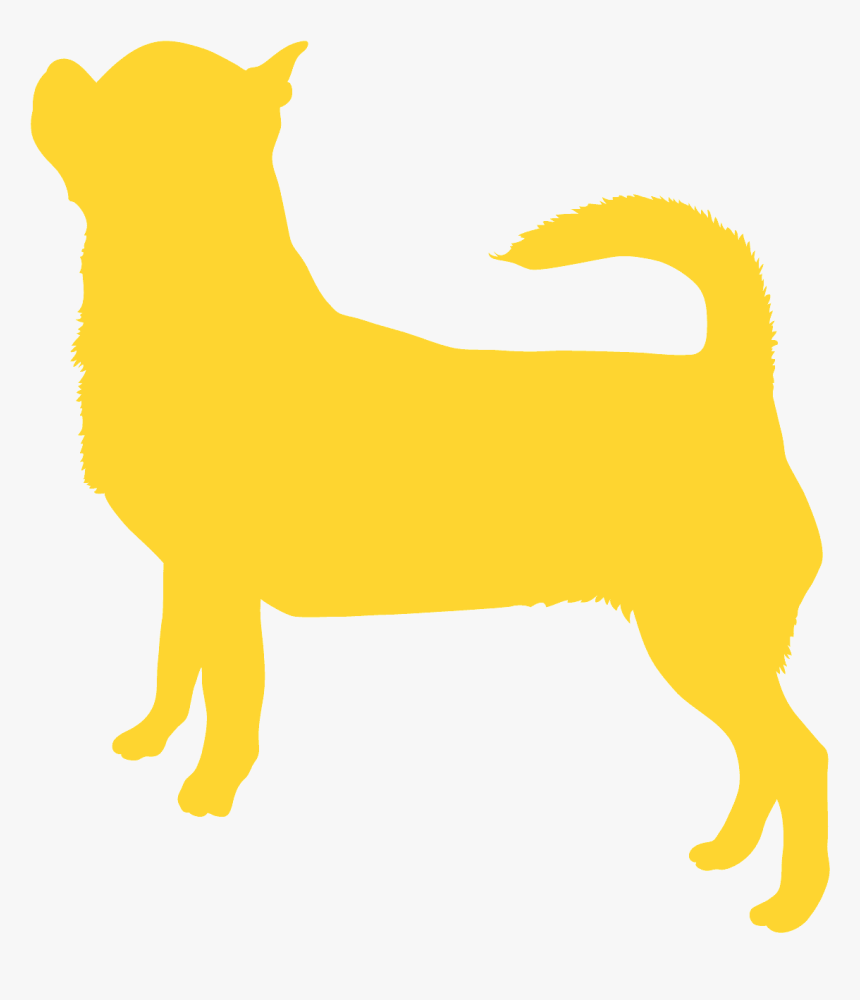 Chihuahua Png, Transparent Png, Free Download