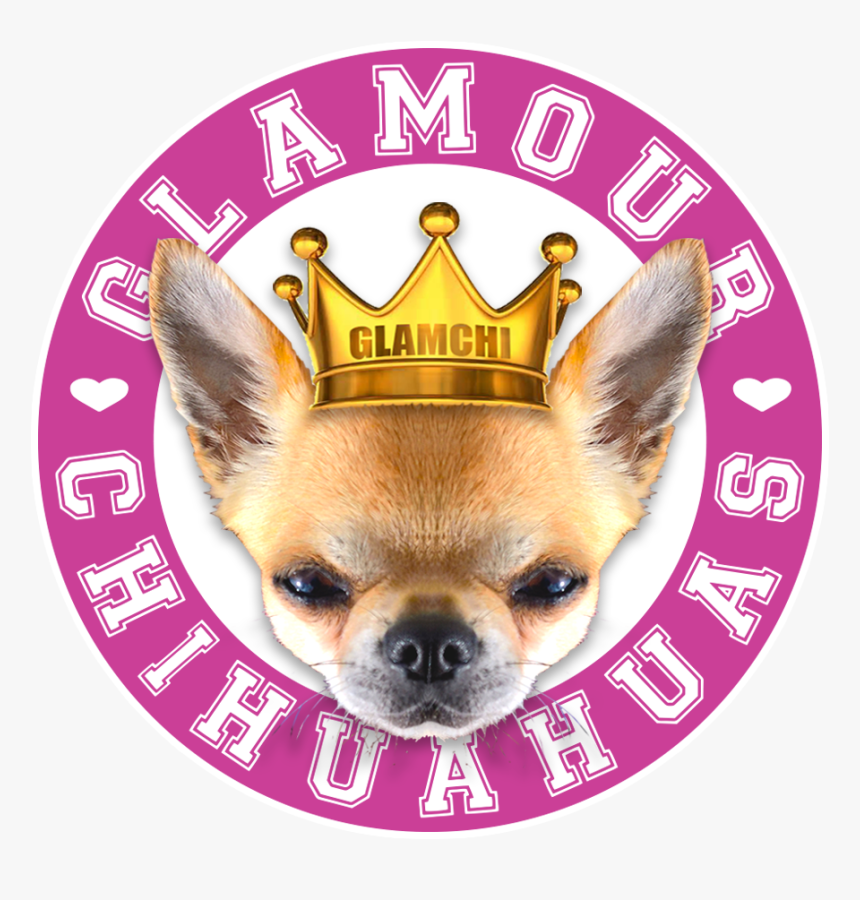 Chihuahua Png, Transparent Png, Free Download