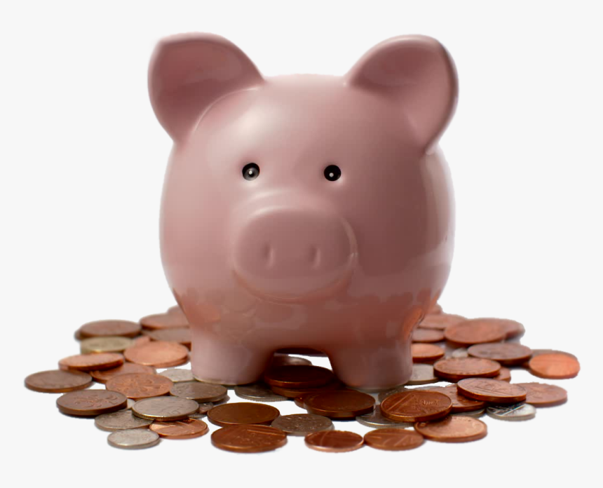 Piggy Handling,coin,animal Figure,currency, HD Png Download, Free Download