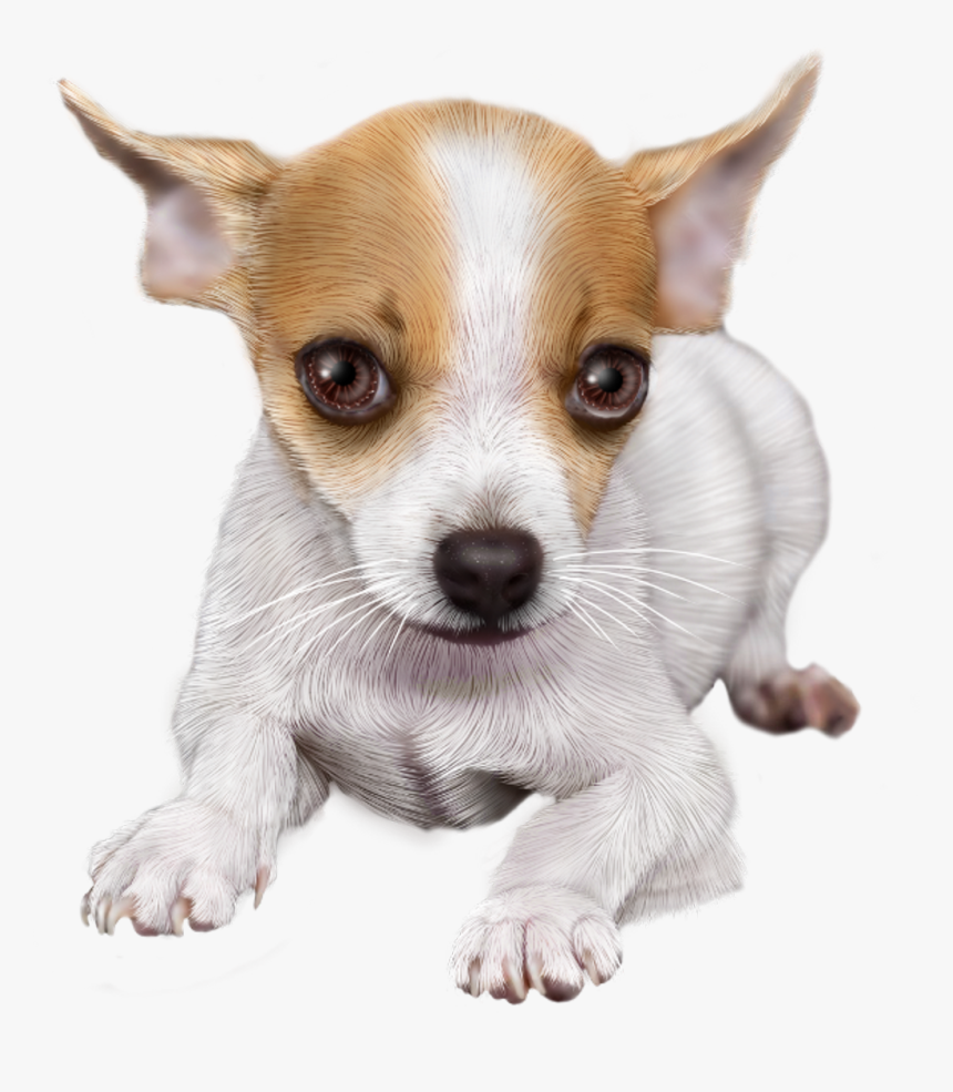 Tube Chihuahua Png , Png Download, Transparent Png, Free Download