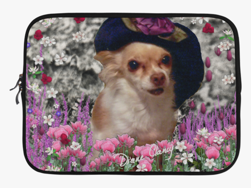 Chi Chi In Pink White Flowers, Chihuahua Puppy Dog, HD Png Download, Free Download
