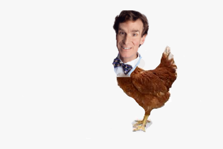 Bill Nye Png, Transparent Png, Free Download