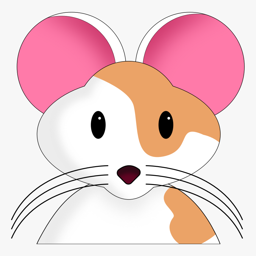 Hamster, HD Png Download, Free Download