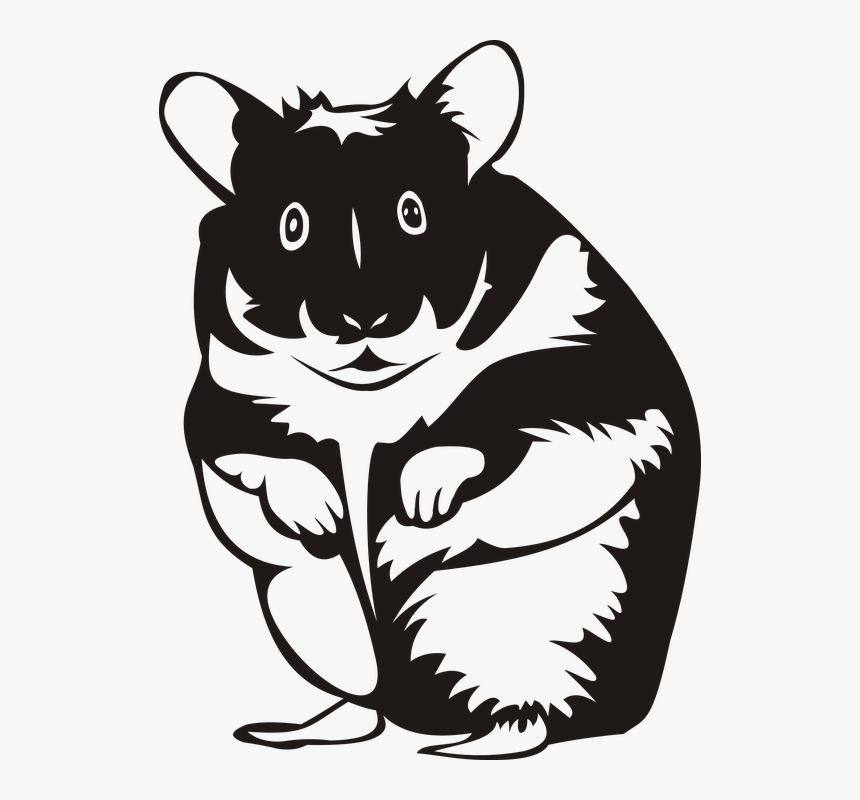 Hamster, Rodent, Mammal, Animal, Pet, No Background, HD Png Download, Free Download