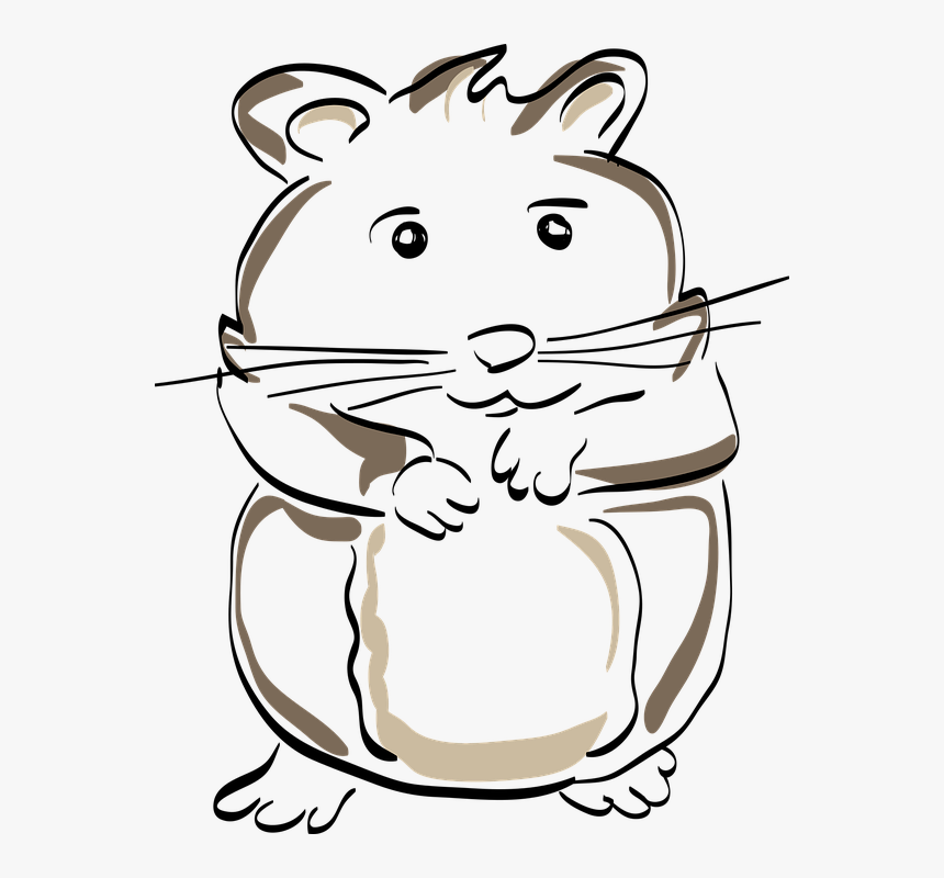 Hamster, Rodent, Drawing, Mammal, Nature, Comic, Funny, HD Png Download, Free Download