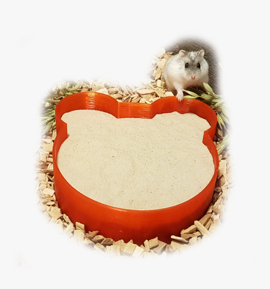 Hamster, HD Png Download, Free Download