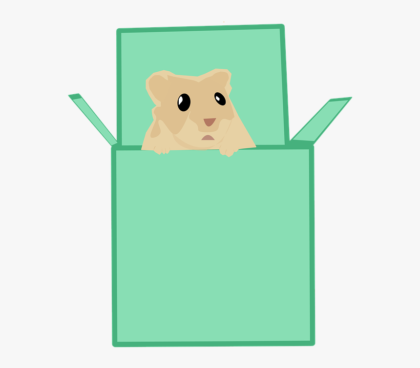 Box, Cute, Hamster, White, Pet, Trapped, Design, HD Png Download, Free Download