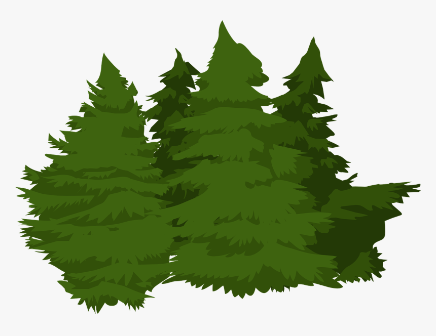 Woods Png, Transparent Png, Free Download