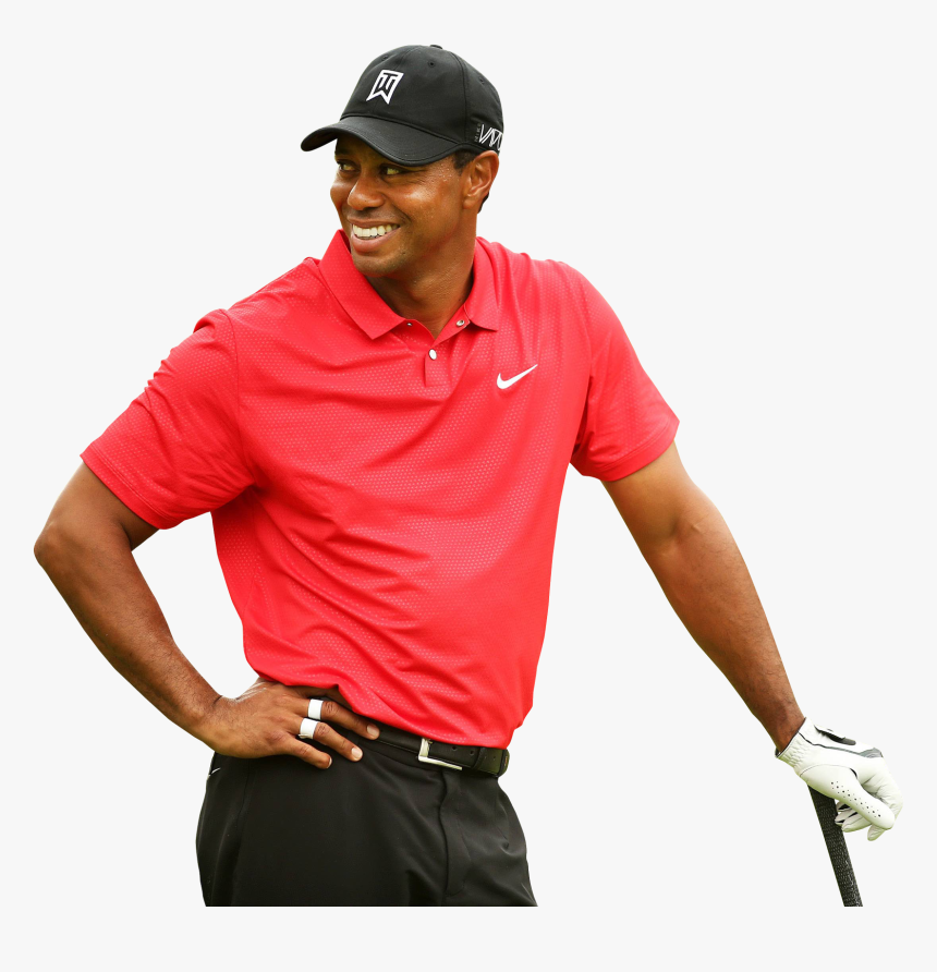 Woods Png, Transparent Png, Free Download