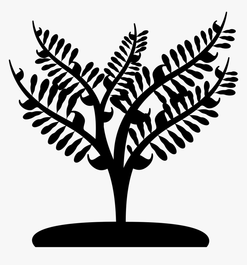 Small Tree Png, Transparent Png, Free Download