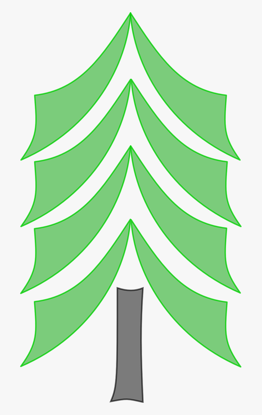 Woods Png, Transparent Png, Free Download