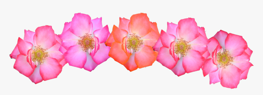 Pink Flowers Crown Png, Transparent Png, Free Download