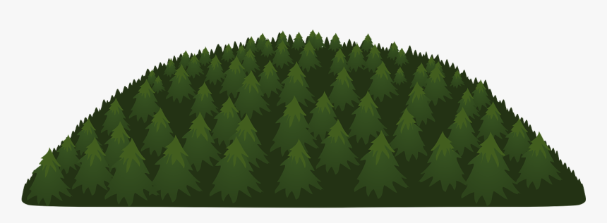 Woods Png, Transparent Png, Free Download