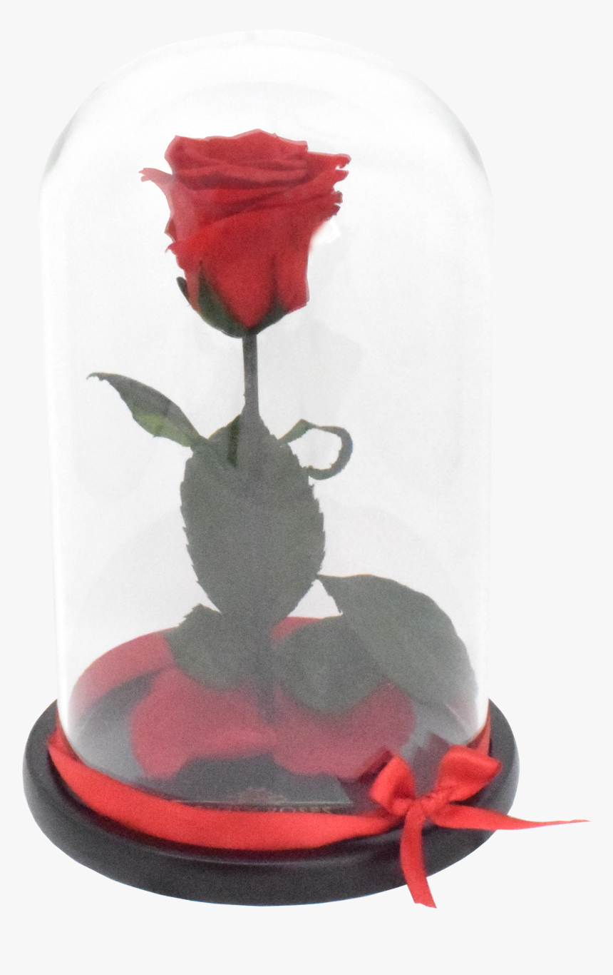 Beauty And The Beast Rose Png, Transparent Png, Free Download