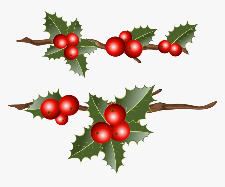Common Holly Christmas Mistletoe Clip Art, HD Png Download, Free Download