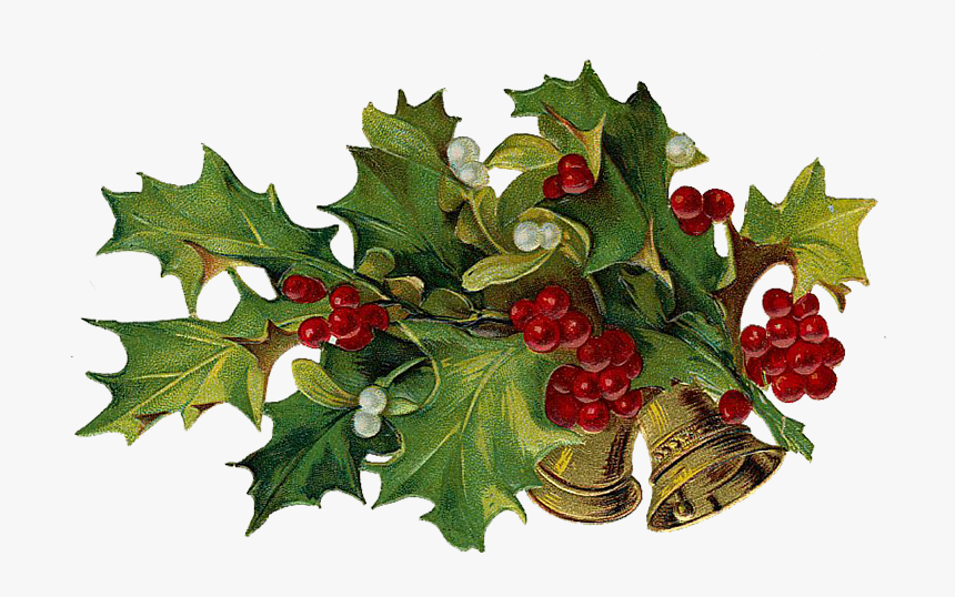 Christmas Holly Png, Transparent Png, Free Download