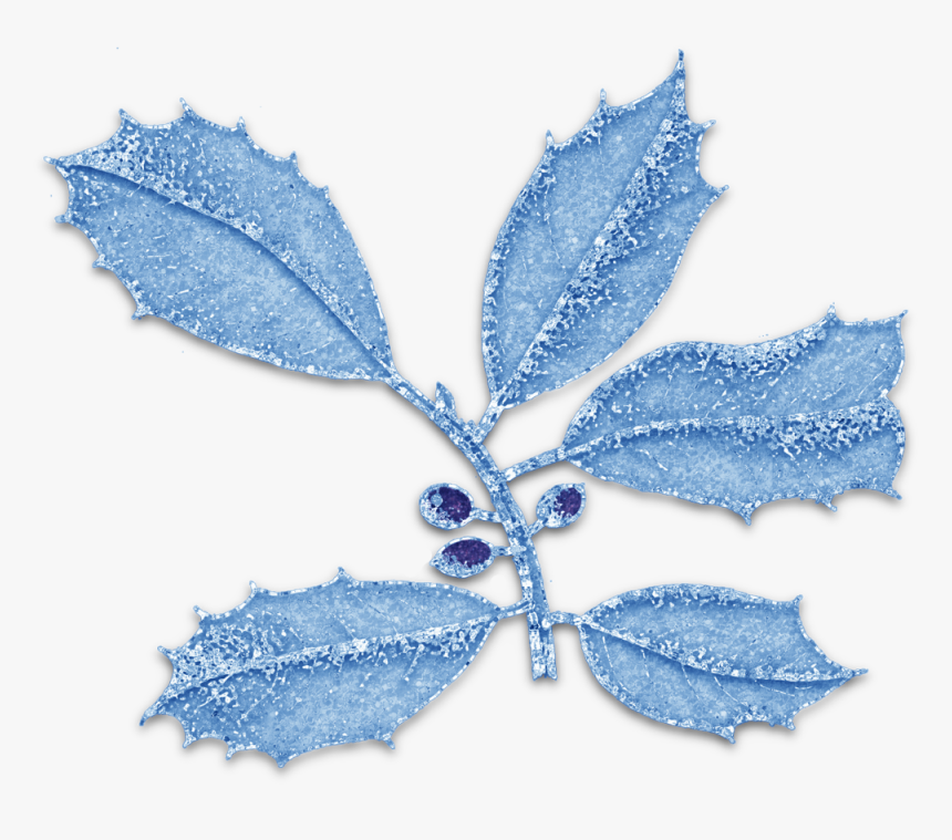 Christmas Holly Png, Transparent Png, Free Download