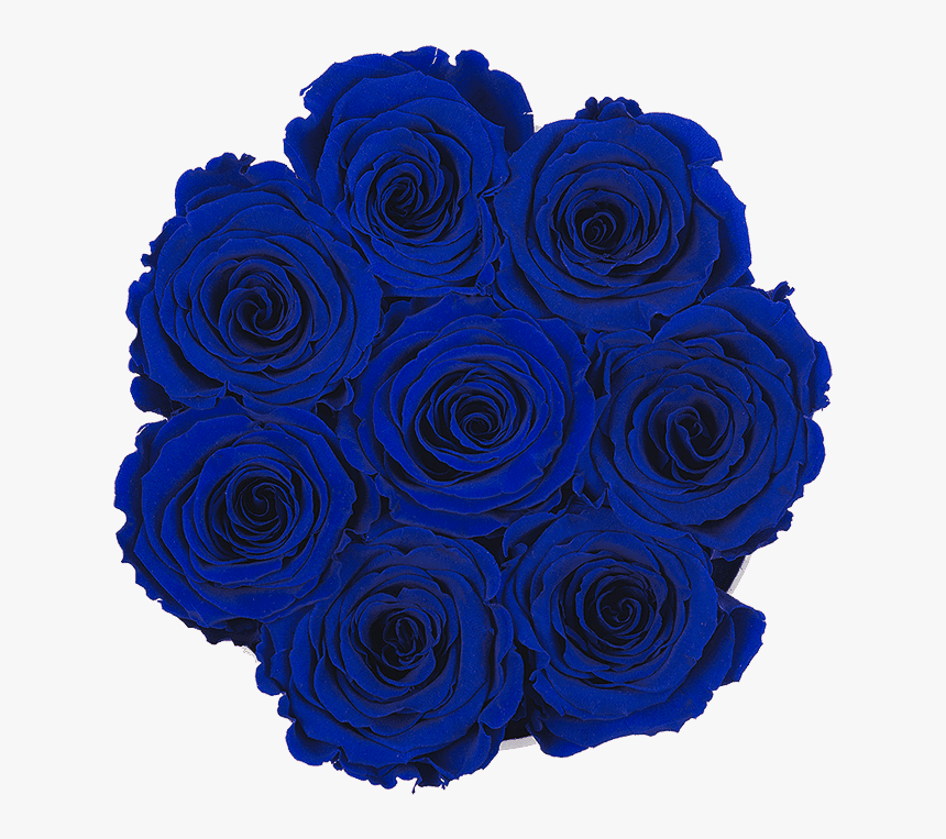 Blue Rose Png, Transparent Png, Free Download