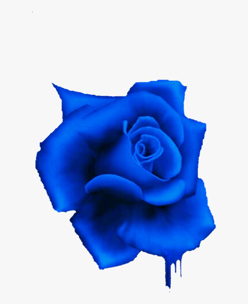 #freetoedit#eemput #png #rose #flowers #blue, Transparent Png, Free Download