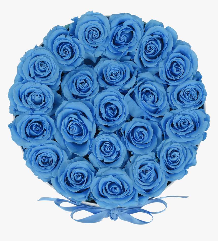 Orbdeluxe Baby Blue Roses"
 Class="lazyload Lazyload, HD Png Download, Free Download