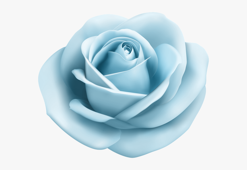 #pastel #blue #lightblue #babyblue #bluerose #rose, HD Png Download, Free Download