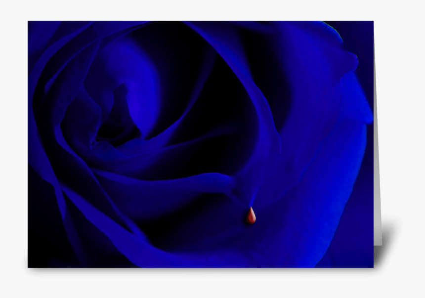 Blue Rose Greeting Card, HD Png Download, Free Download