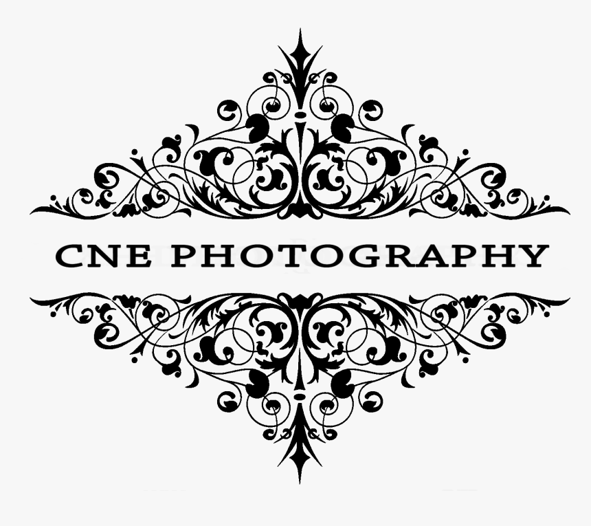 Cne Photography Wedding Photography, Quinces Senior, HD Png Download ...