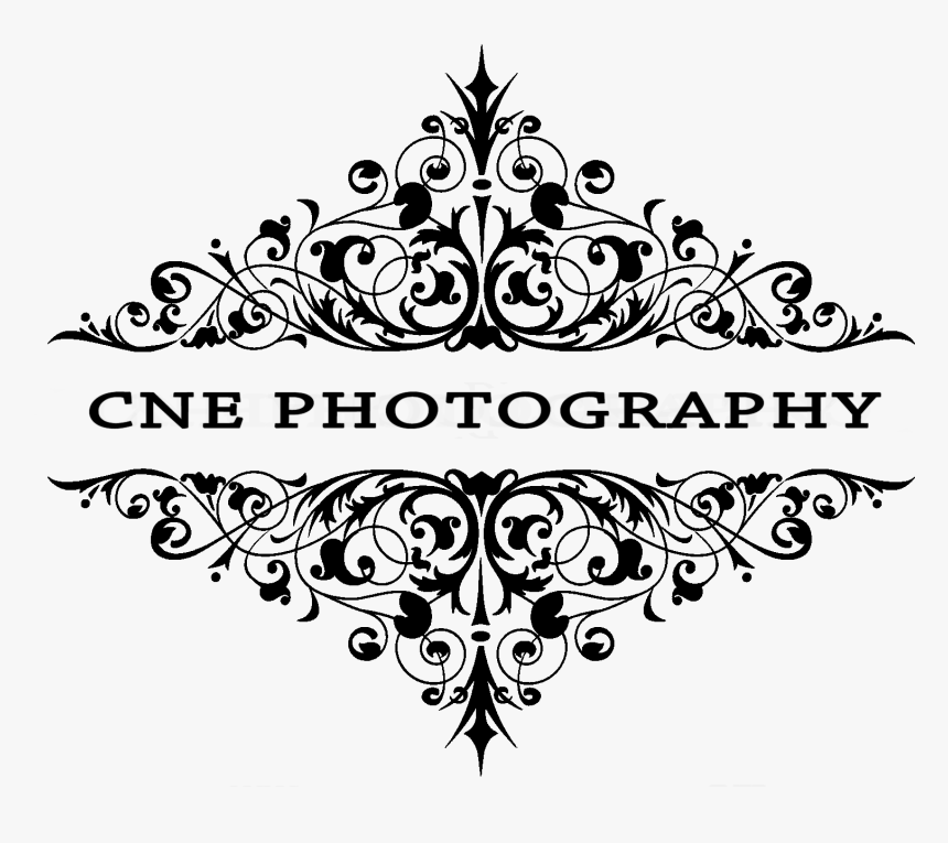 Cne Photography Wedding Photography, Quinces Senior, HD Png Download, Free Download