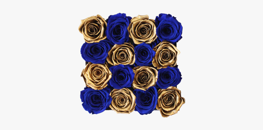 Blue Rose Png, Transparent Png, Free Download