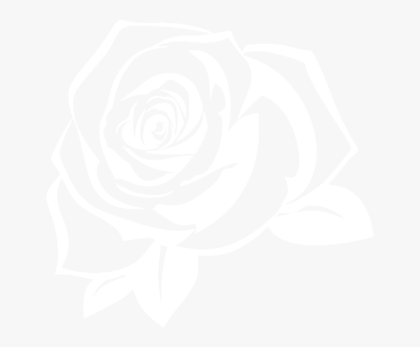 Blue Rose Png, Transparent Png, Free Download