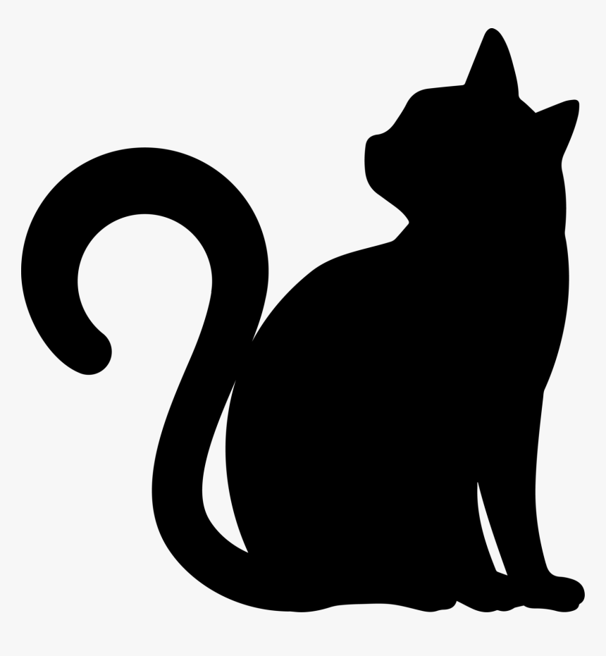 Cat.png, Transparent Png, Free Download