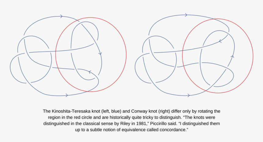 The Kinoshita-teresaka Knot And Conway Knot, HD Png Download, Free Download