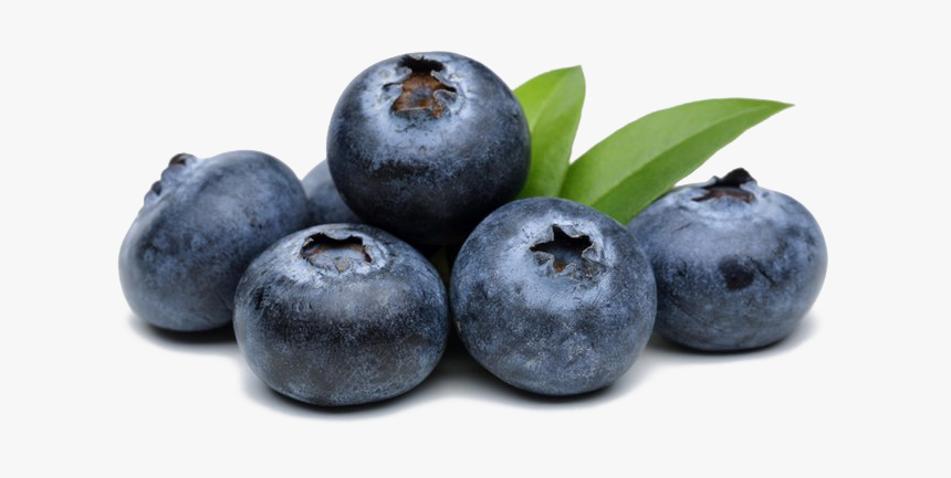 Blueberries Png High Quality Image, Transparent Png, Free Download