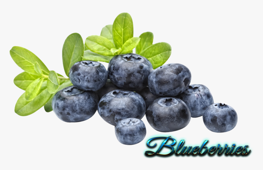 Blueberries Transparent, HD Png Download, Free Download