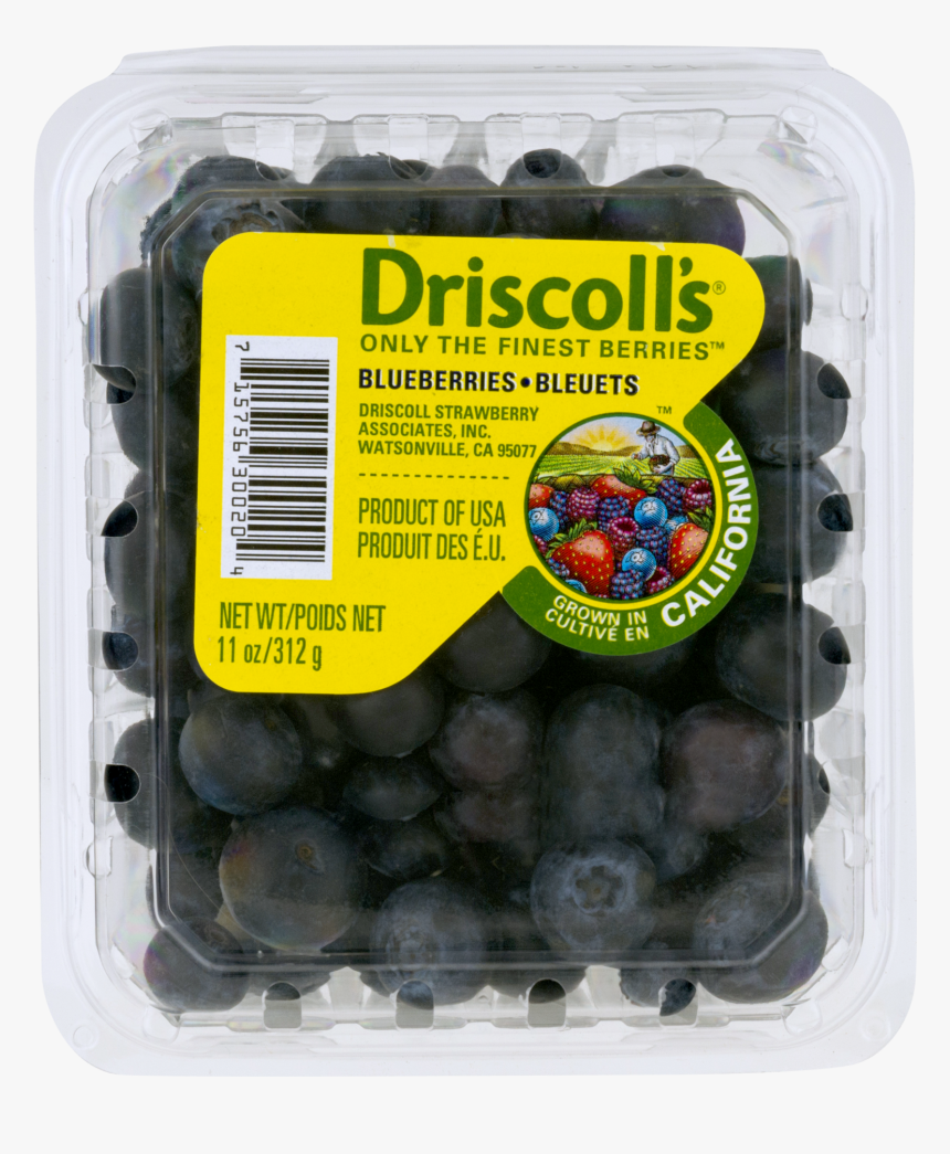 Blueberries Png, Transparent Png, Free Download