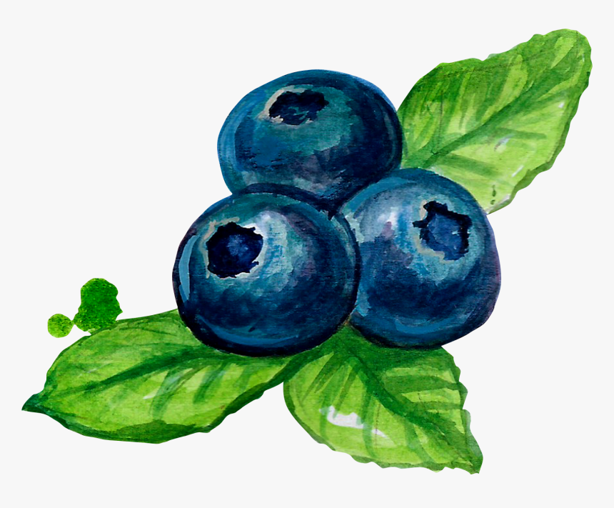 Blueberries Png, Transparent Png, Free Download