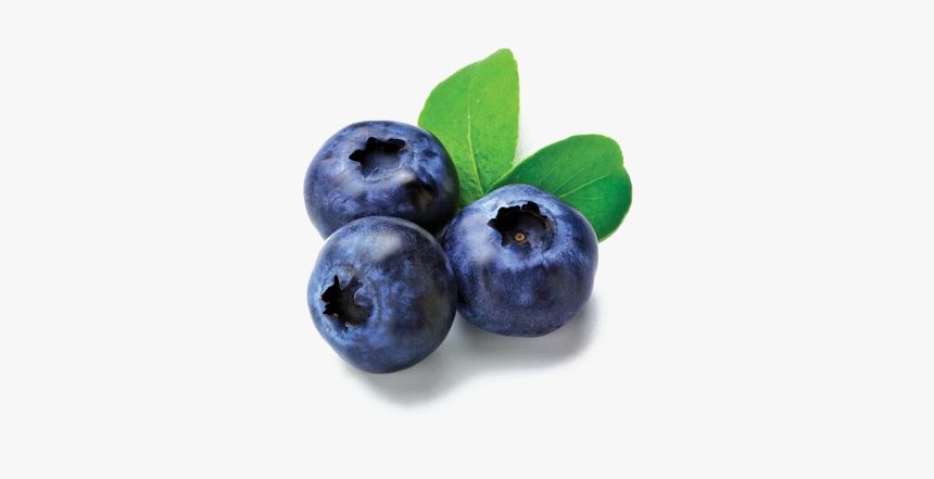 Blueberries Png Image File, Transparent Png, Free Download