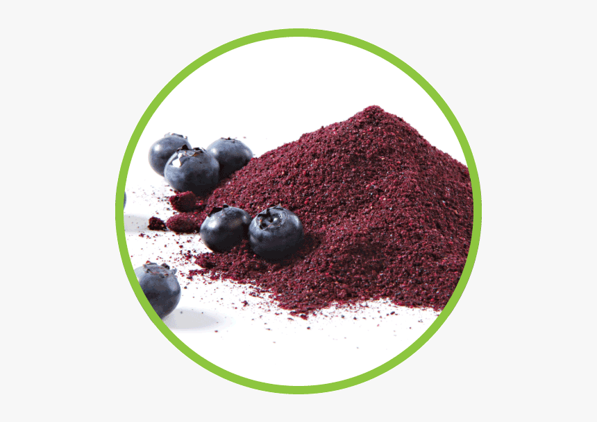 Dried Blueberries Are Available In Many Forms, Including, HD Png Download, Free Download