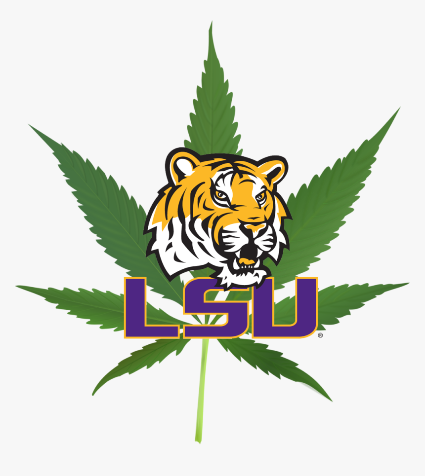 Lsu Logo Png, Transparent Png, Free Download