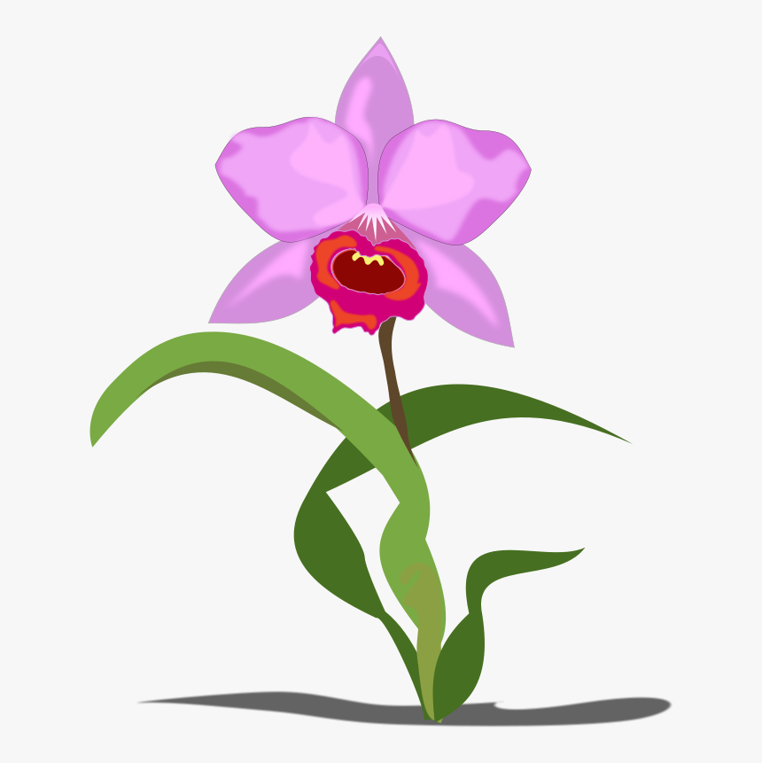 Free To Use &amp, Public Domain Orchid Flower Clip, HD Png Download, Free Download