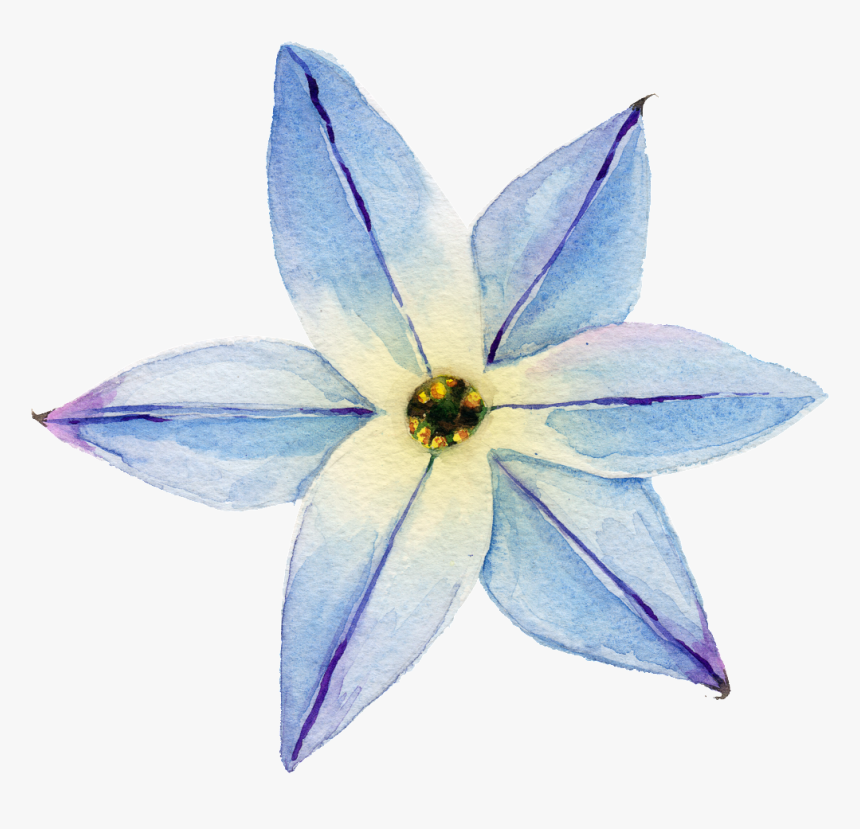 Elegant Transparent Watercolor Flowers Free Download, HD Png Download, Free Download