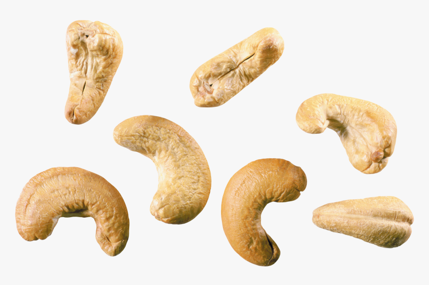 Cashew Nut Png, Transparent Png, Free Download