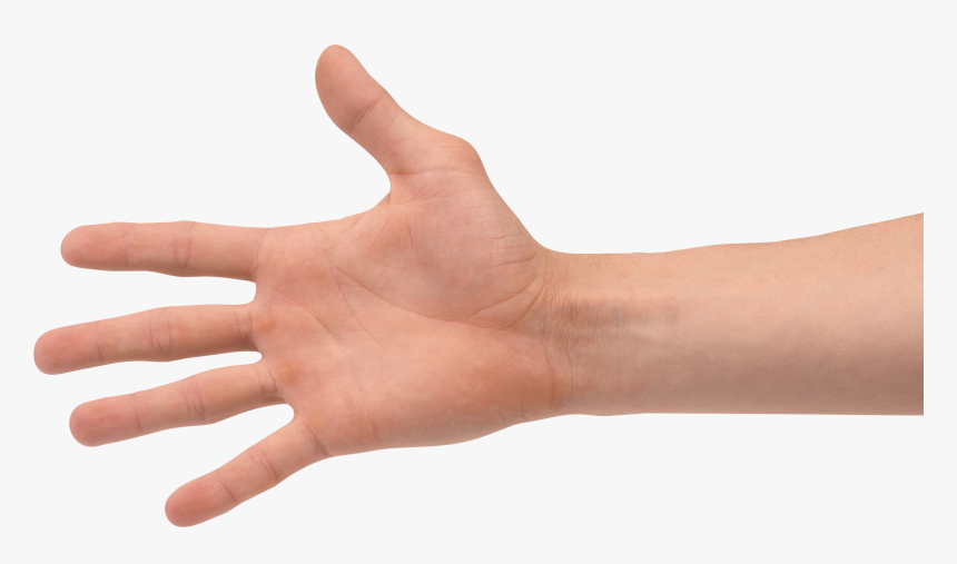Four Finger Hand, HD Png Download, Free Download