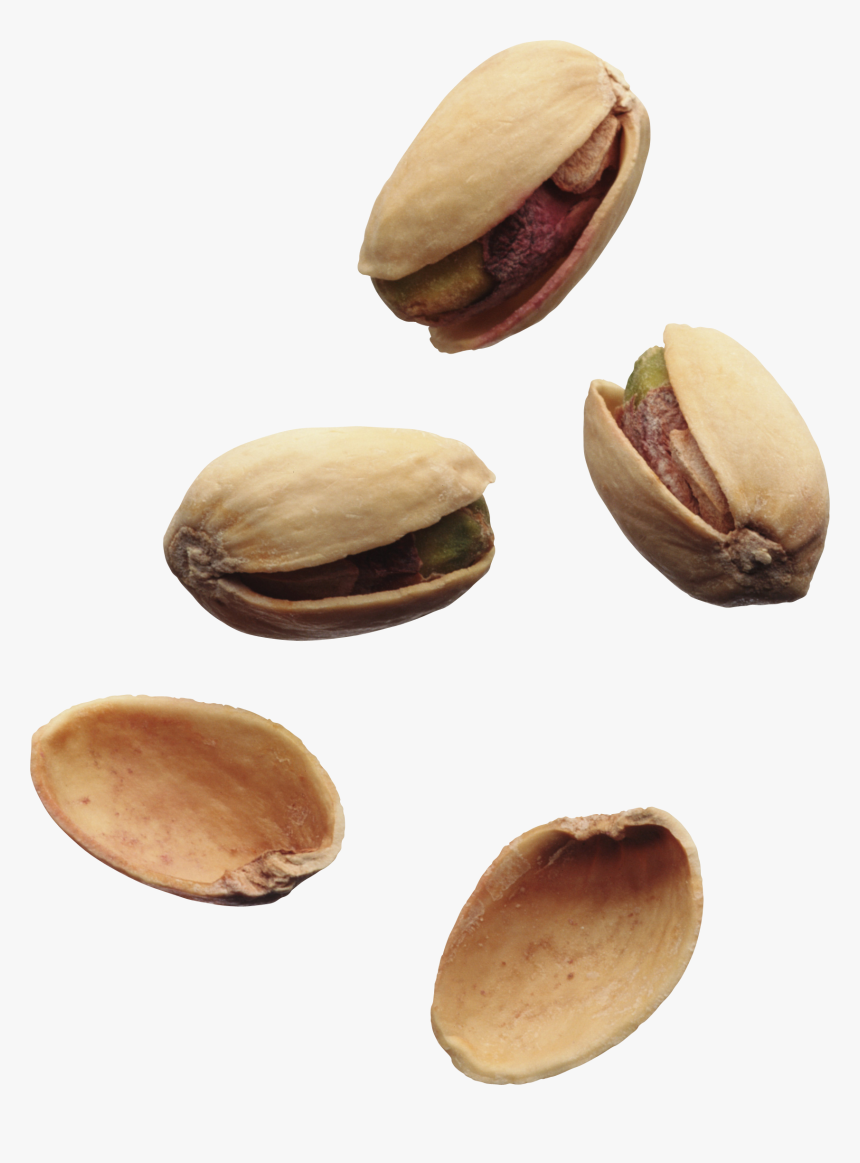 Pistachios Png Image Without, Transparent Png, Free Download