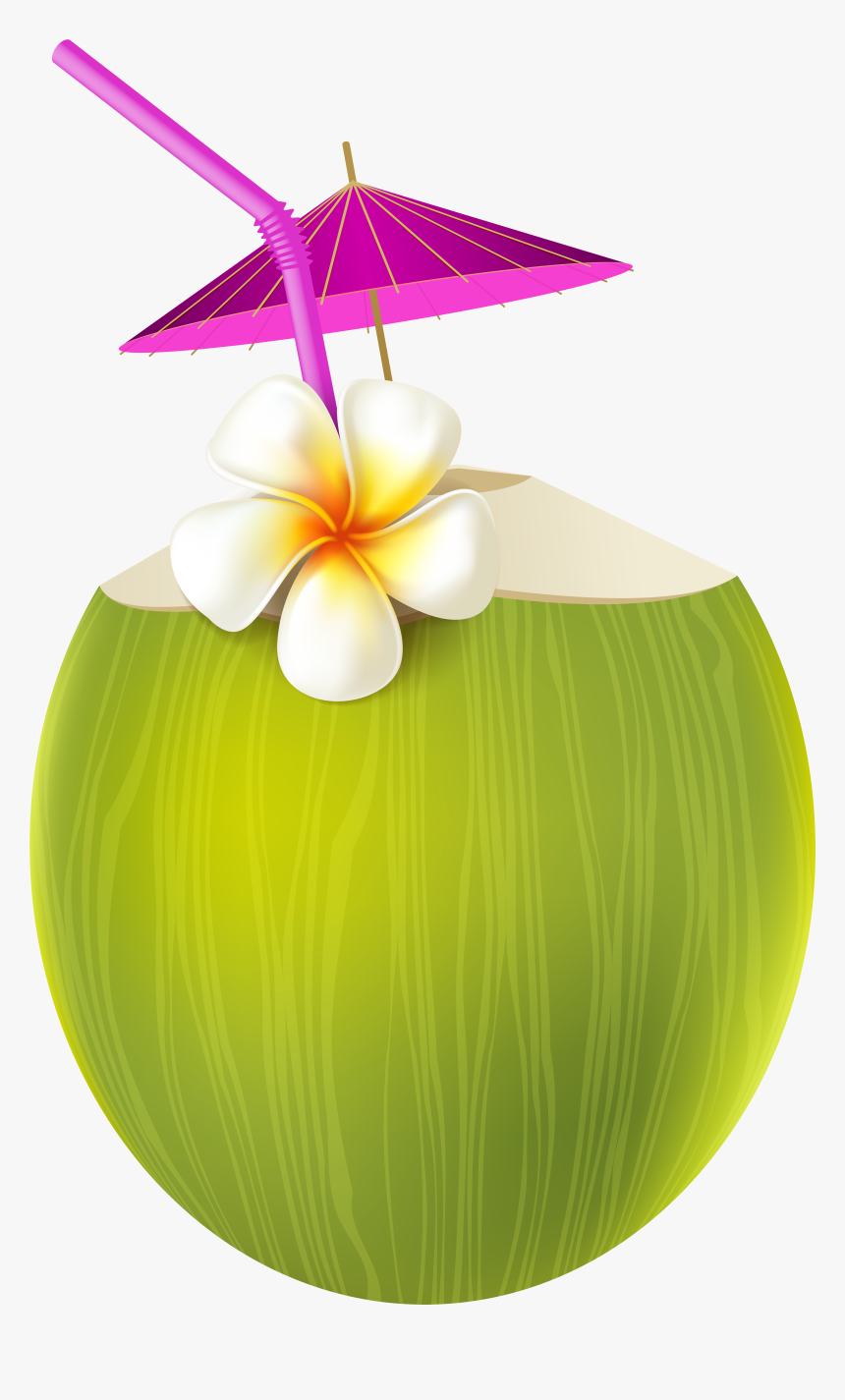 Exotic Drink Png Transparent, Png Download, Free Download