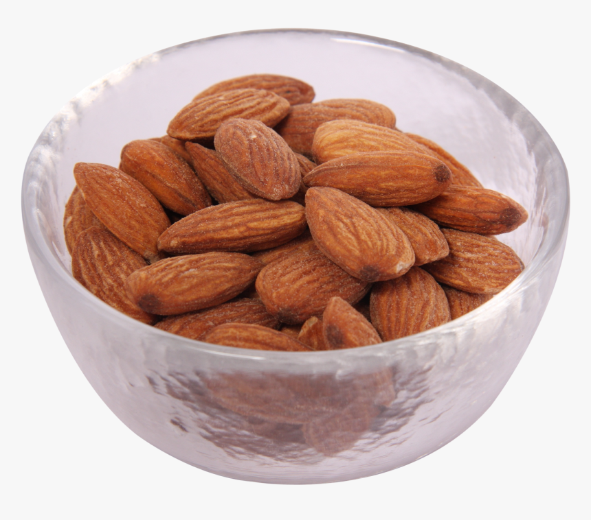 Almond Png Image, Transparent Png, Free Download