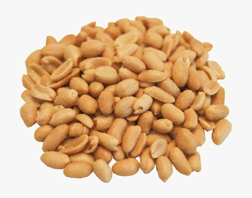 Peanut Vegetarian Cuisine Legume Seed, HD Png Download, Free Download
