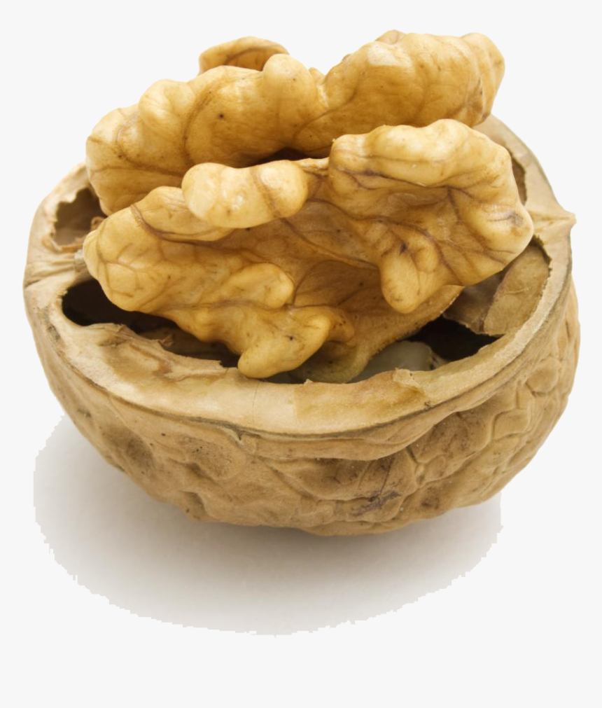 Walnut Png Hd, Transparent Png, Free Download