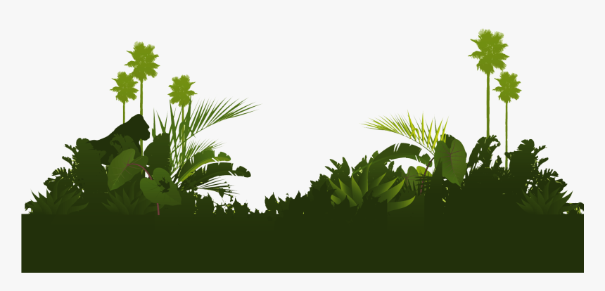 Transparent Jungle Tree Png, Png Download, Free Download